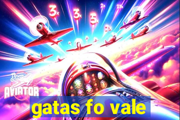 gatas fo vale